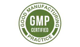 Sonic Solace gmp-certified-500x300