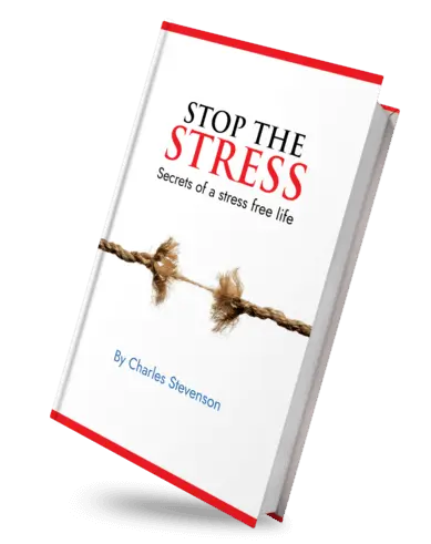 Sonic Solace Bonus 1 : Stop The Stress